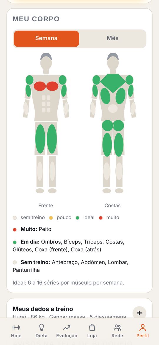 Body screen with the map of the muscles you trained this week